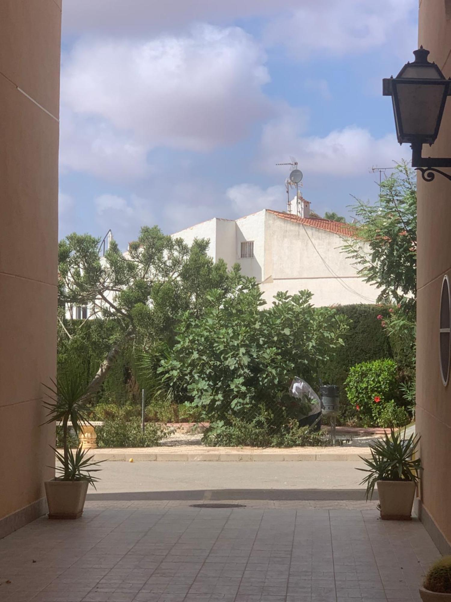 Tres Beau T4 Torrevieja Renove Et Moderne Apartment Bagian luar foto